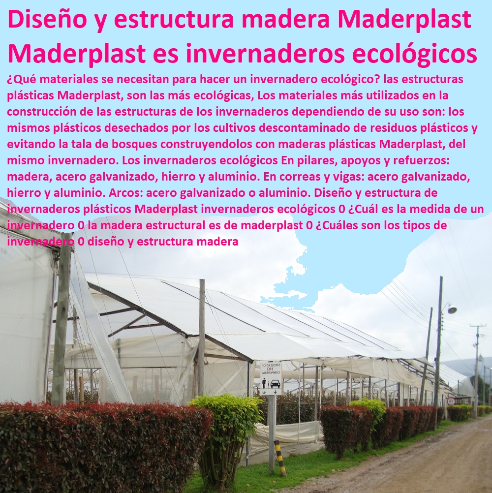 Diseño y estructura de invernaderos plásticos Maderplast invernaderos ecológicos 0 ¿Cuál es la medida de un invernadero 0 la madera estructural es de maderplast 0 ¿Cuáles son los tipos de invernadero 0 diseño y estructura madera Diseño y estructura de invernaderos plásticos Maderplast invernaderos ecológicos 0 CULTIVOS TECNIFICADOS, INVERNADEROS, Semilleros, Bancos De Siembra, Hidroponía, Agricultura, Cosecha, Poscosecha, Tutores para Flores cable vía Bananas Aromáticas, ¿Cuál es la medida de un invernadero 0 la madera estructural es de maderplast 0 ¿Cuáles son los tipos de invernadero 0 diseño y estructura madera